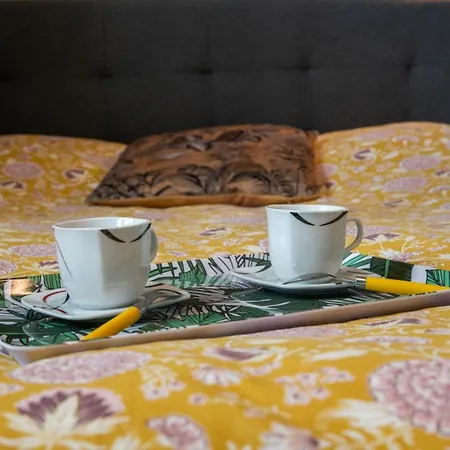 Le Coste - Cosy Et Moderne * Caluire-et-Cuire